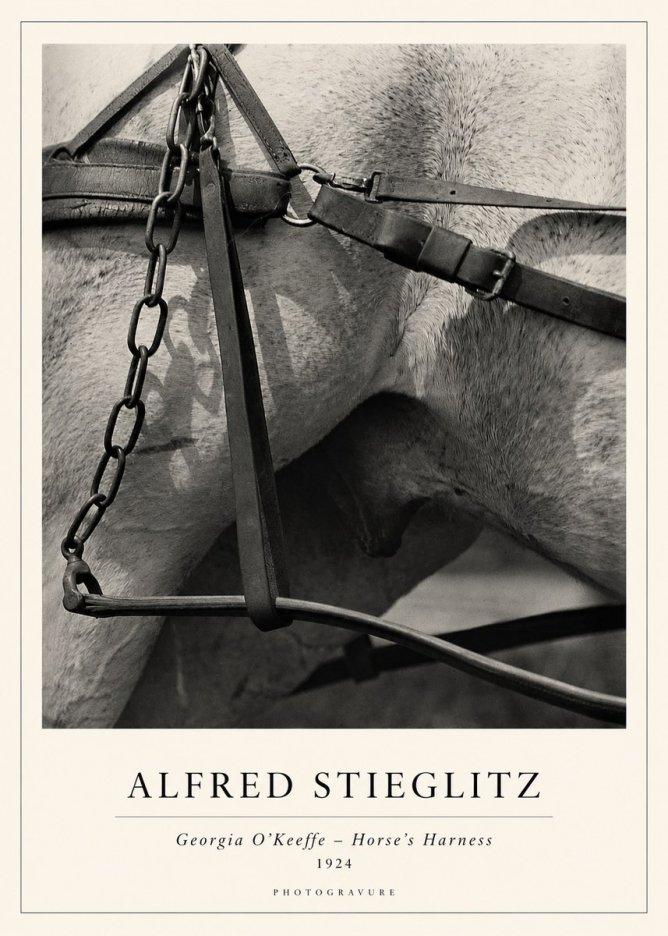Alfred Stieglitz The Steerage I No2 - Plakát