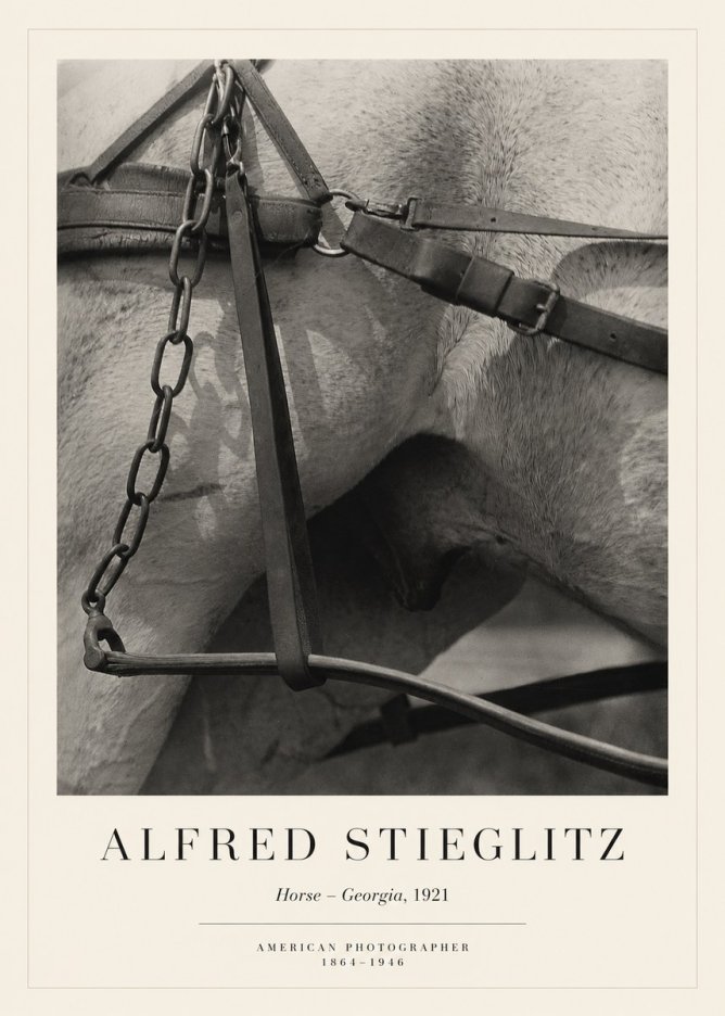 Alfred Stieglitz The Steerage I No6 - Plakát