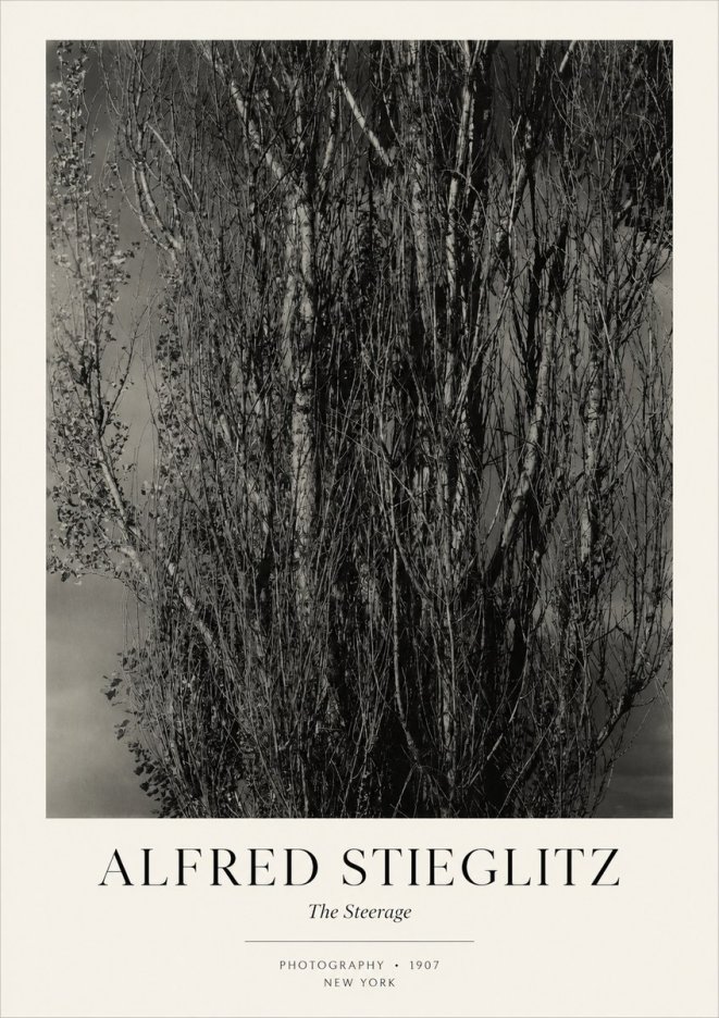 Alfred Stieglitz The Steerage II No3 - Plakát