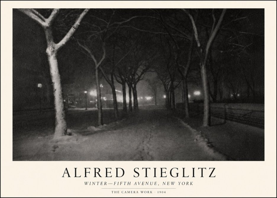 Alfred Stieglitz Winter—fifth Avenue, New York No1 - Plakát