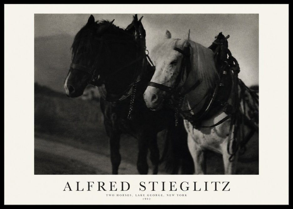 Alfred Stieglitz Two Horses, Lake George, New York No1 - Plakát