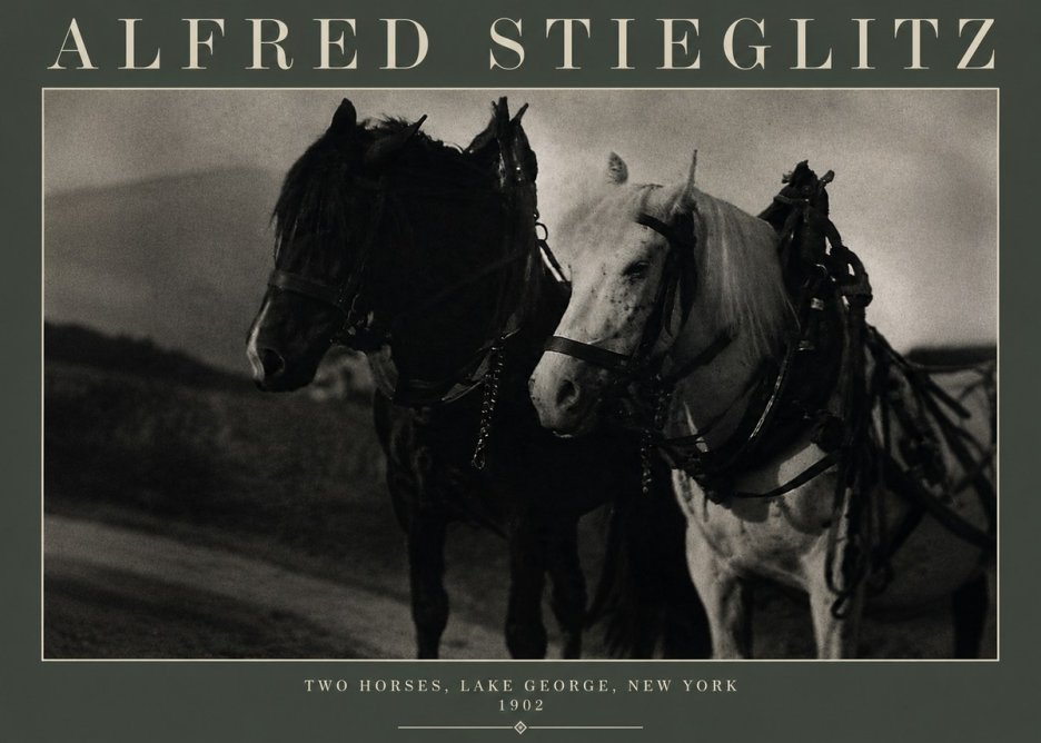 Alfred Stieglitz Two Horses, Lake George, New York No3 - Plakát