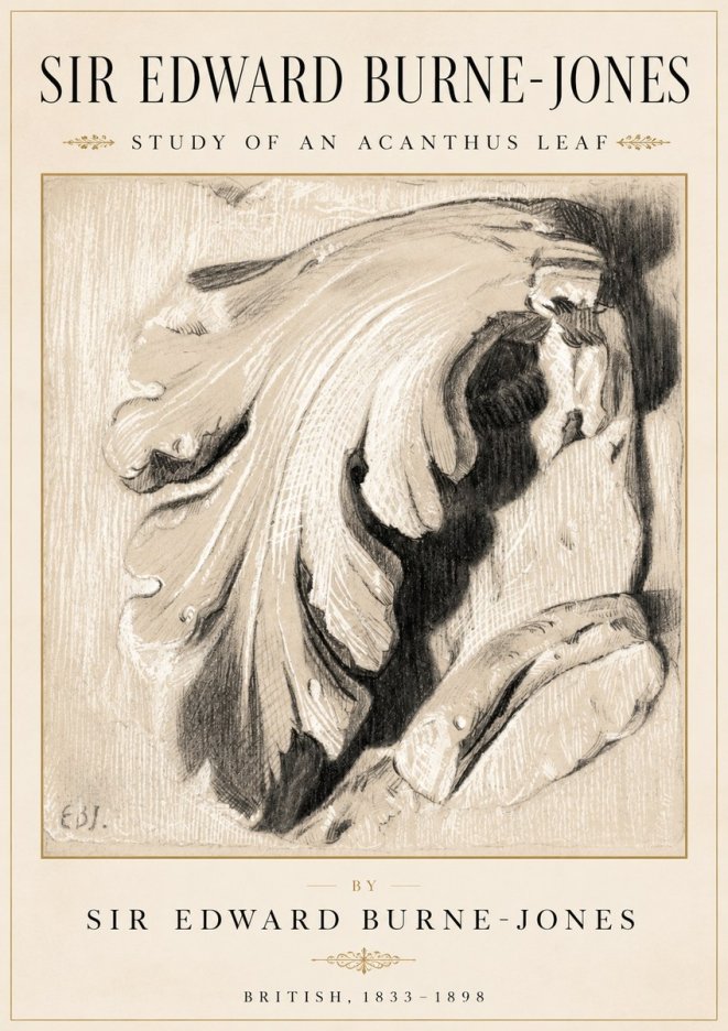 Edward Burne-Jones Study of an Acanthus Leaf No2 - Plakát