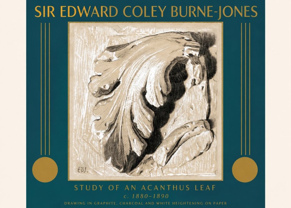 Edward Burne-Jones Study of an Acanthus Leaf No3 - Plakát