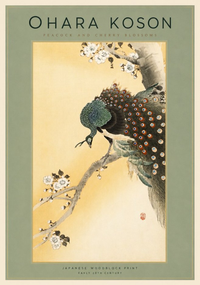 Ohara Koson Peacock and Cherry Blossoms No2 - Plakát