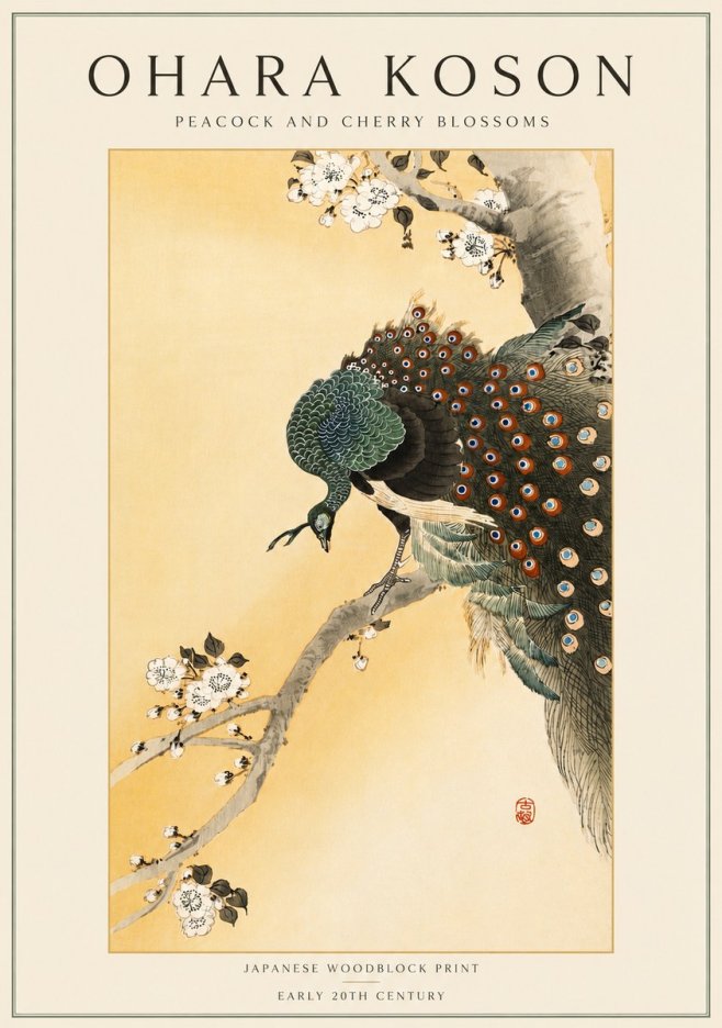 Ohara Koson Peacock and Cherry Blossoms No4 - Plakát
