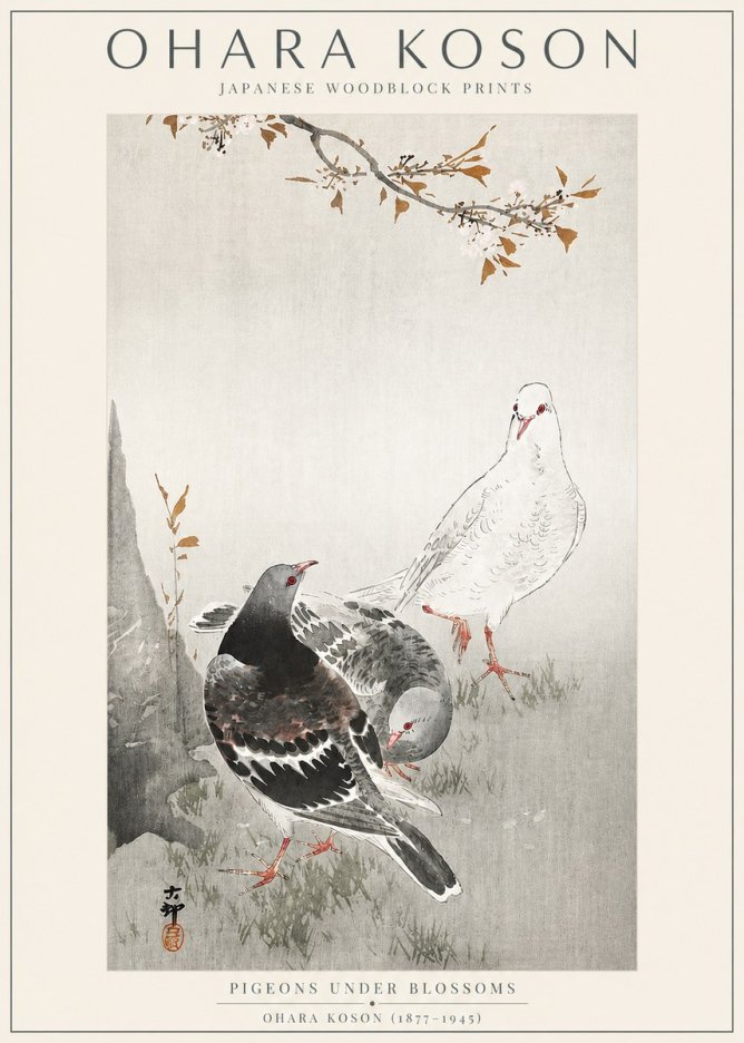 Ohara Koson Pigeons Under Blossoms No3 - Plakát