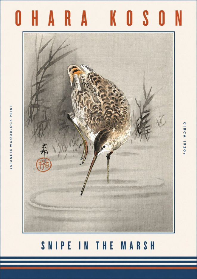 Ohara Koson Snipe in the Marsh No3 - Plakát
