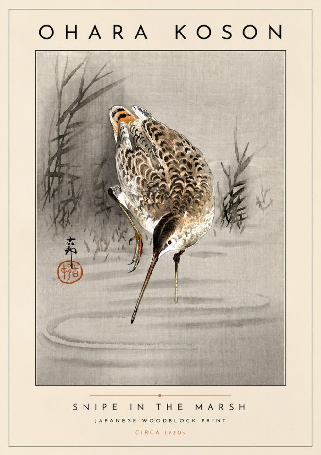 Ohara Koson Snipe in the Marsh No4 - Plakát