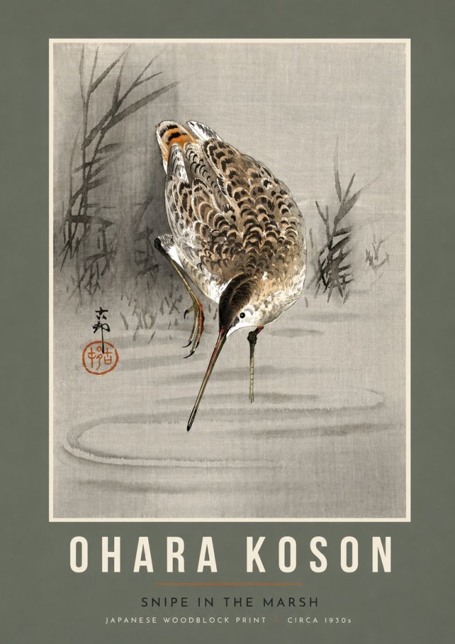 Ohara Koson Snipe in the Marsh No5 - Plakát