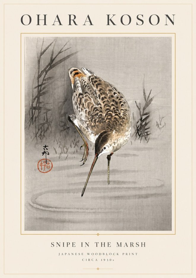 Ohara Koson Snipe in the Marsh No6 - Plakát