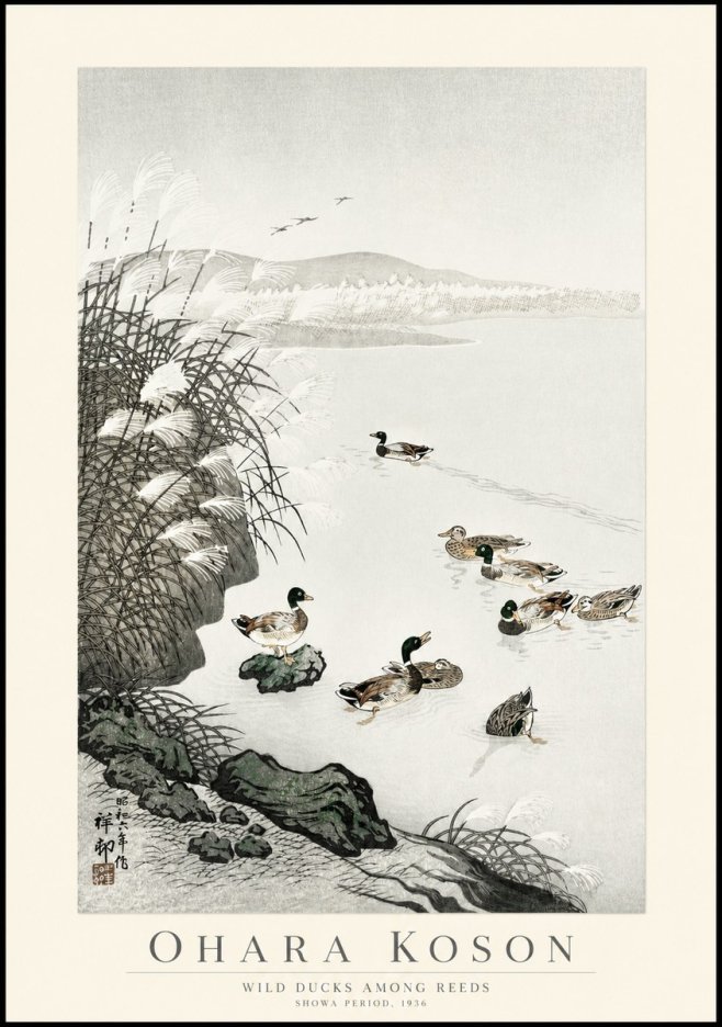 Ohara Koson Wild Ducks Among Reeds No1 - Plakát