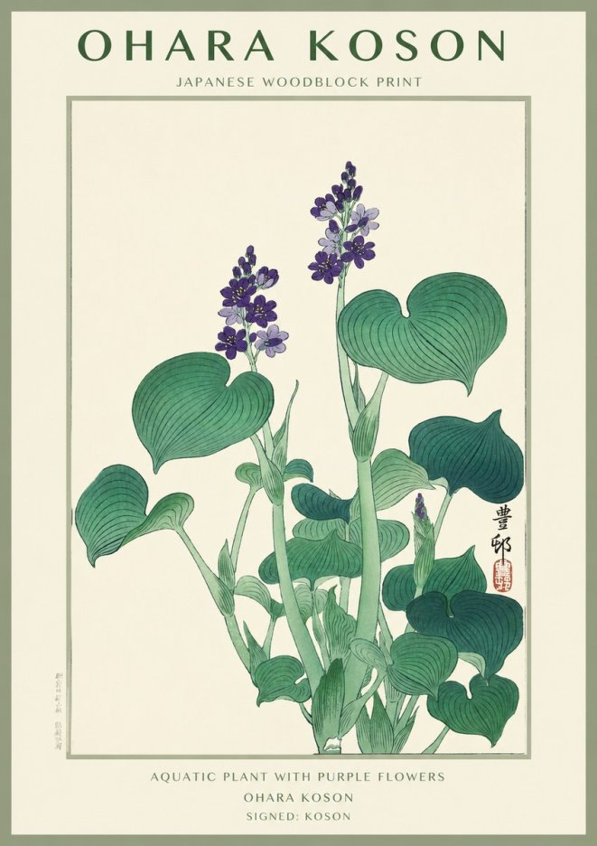 Ohara Koson Aquatic Plant with Purple Flowers No1 - Plakát