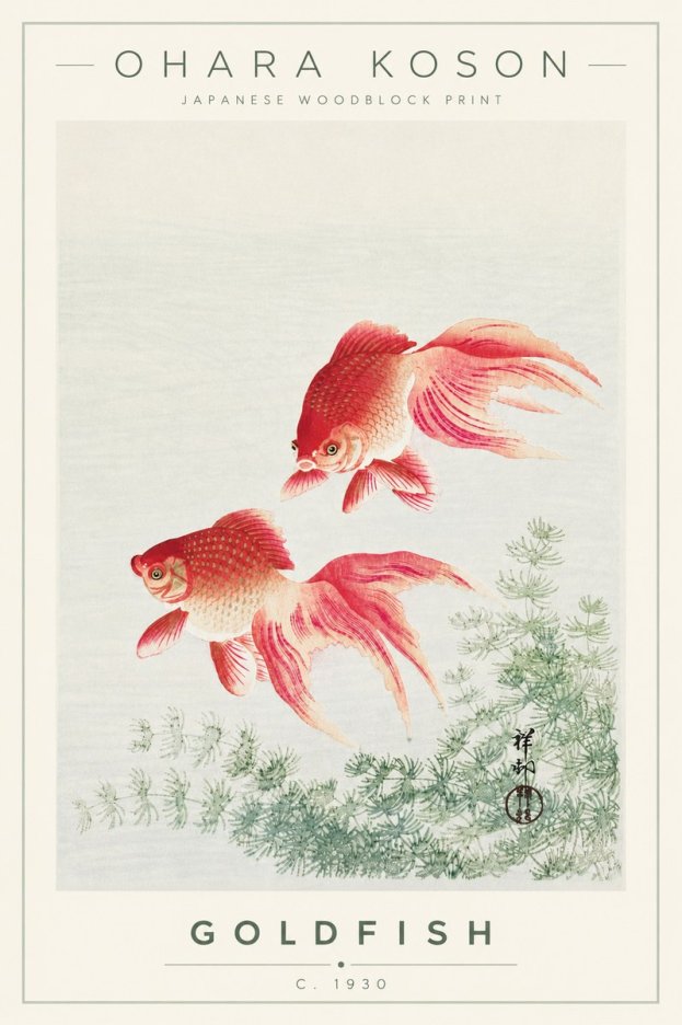 Ohara Koson Goldfish No4 - Plakát