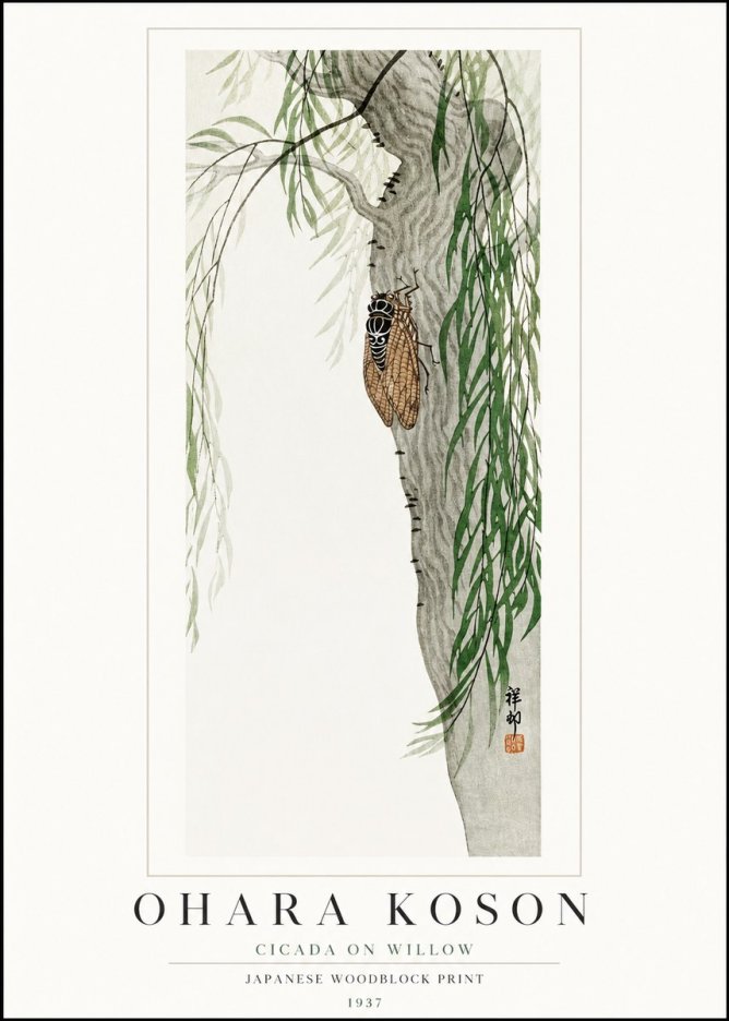 Ohara Koson Cicada on Willow No1 - Plakát