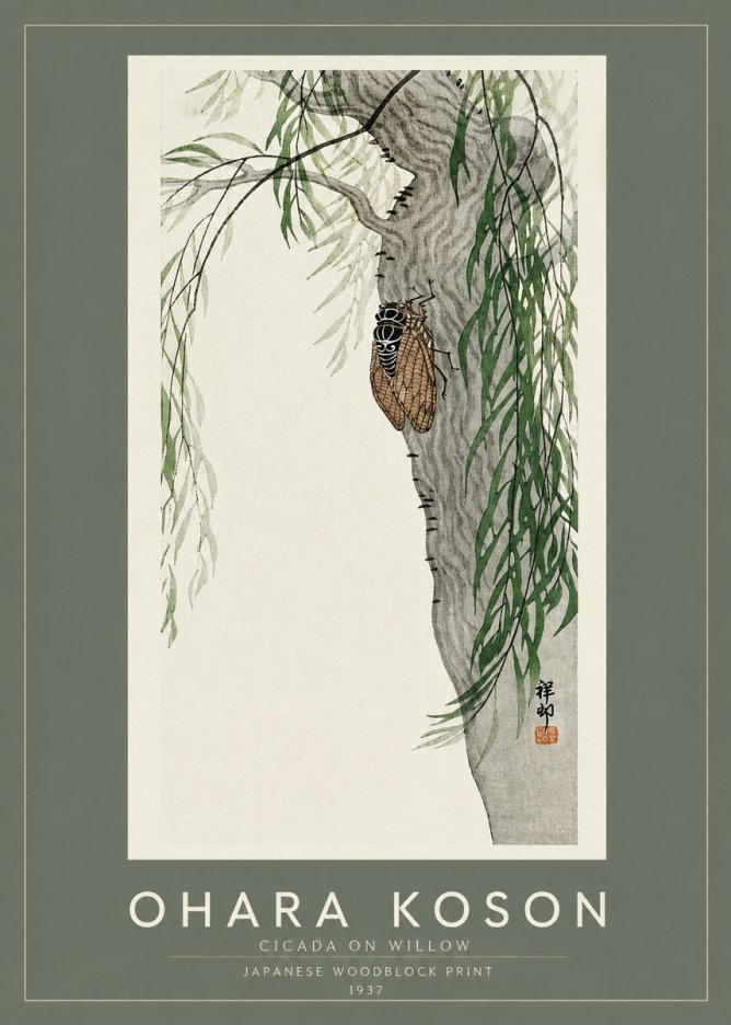 Ohara Koson Cicada on Willow No2 - Plakát