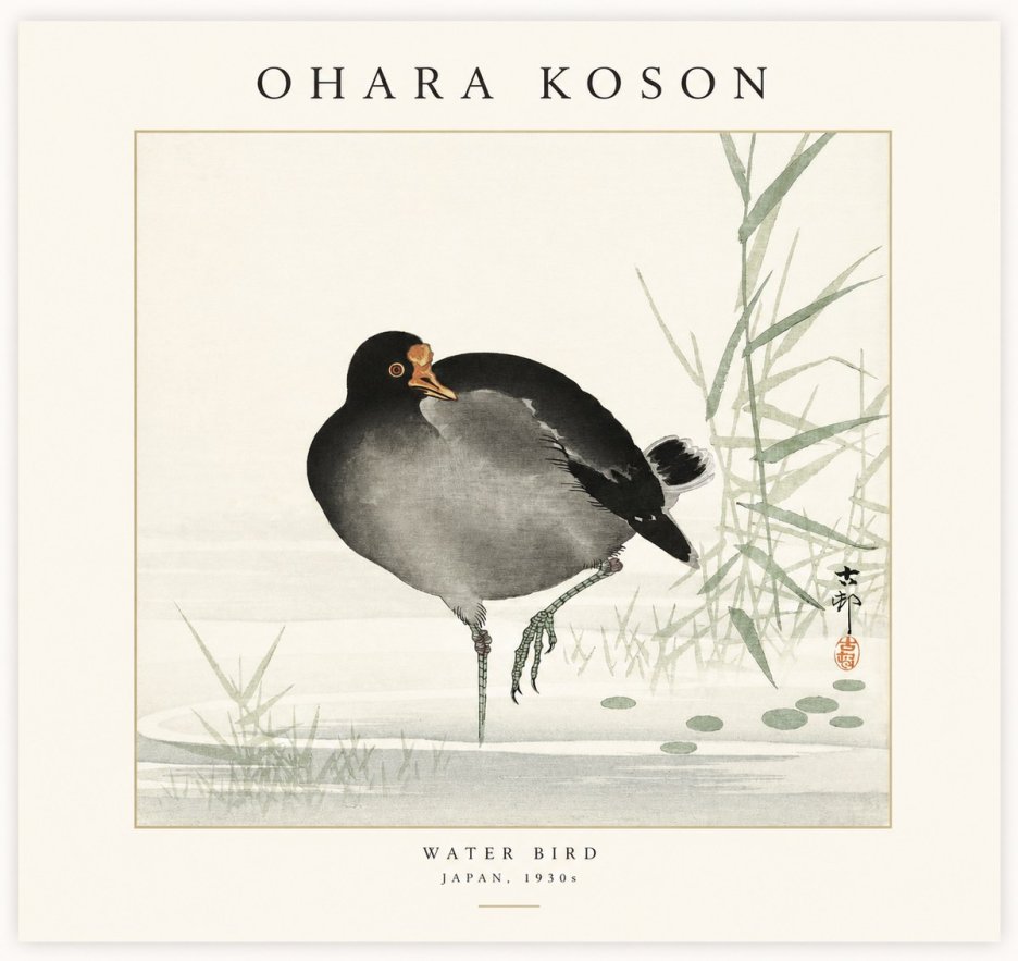 Ohara Koson Water Bird No1 - Plakát