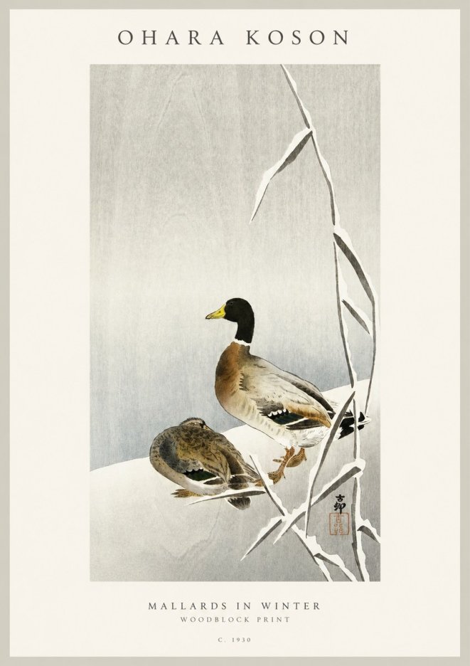 Ohara Koson Mallards in Winter No1 - Plakát
