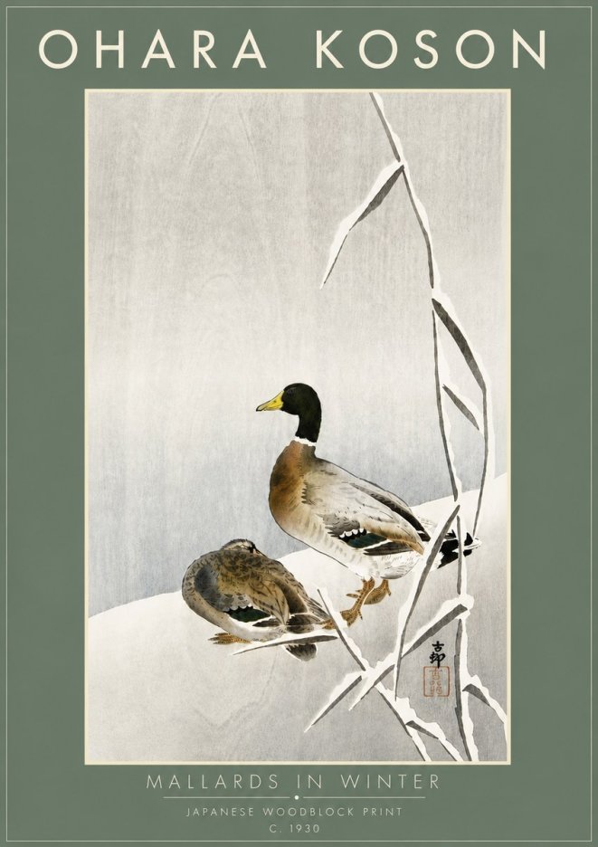 Ohara Koson Mallards in Winter No6 - Plakát