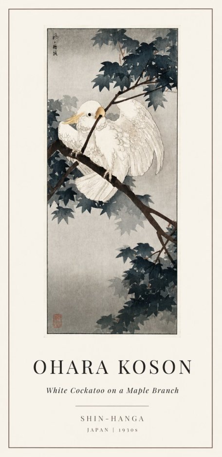 Ohara Koson White Cockatoo on a Maple Branch No1 - Plakát