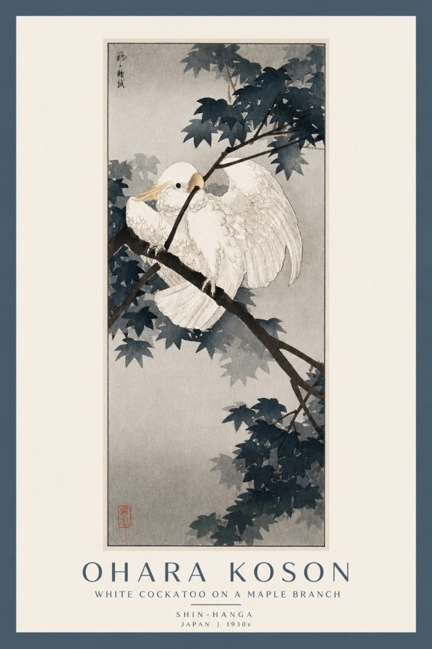 Ohara Koson White Cockatoo on a Maple Branch No2 - Plakát