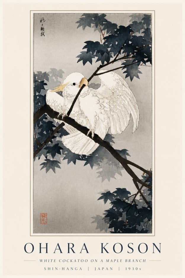 Ohara Koson White Cockatoo on a Maple Branch No6 - Plakát