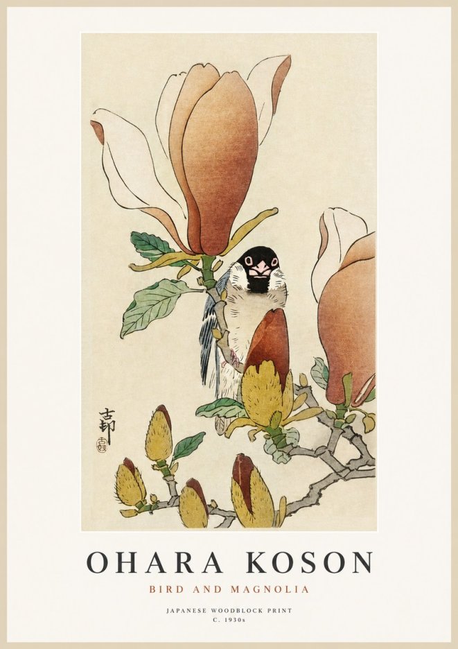 Ohara Koson Bird and Magnolia No1 - Plakát