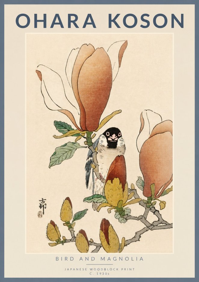 Ohara Koson Bird and Magnolia No4 - Plakát