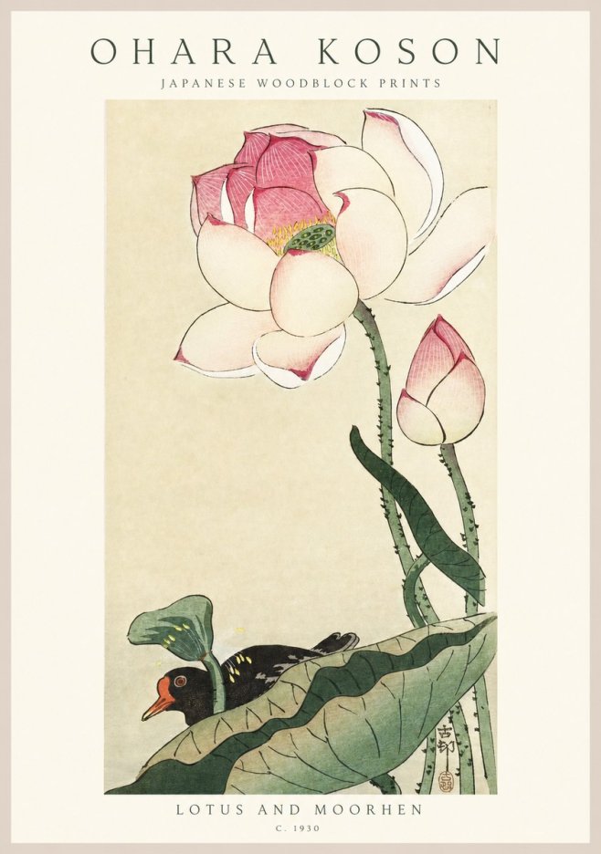 Ohara Koson Lotus and Moorhen No1 - Plakát