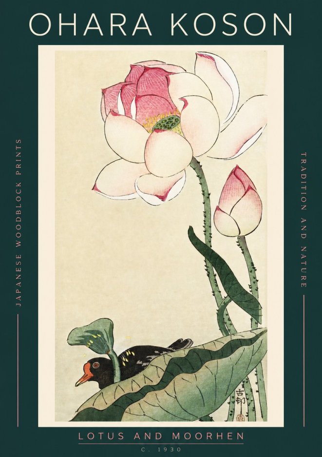 Ohara Koson Lotus and Moorhen No2 - Plakát