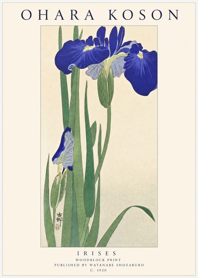 Ohara Koson Irises I No1 - Plakát