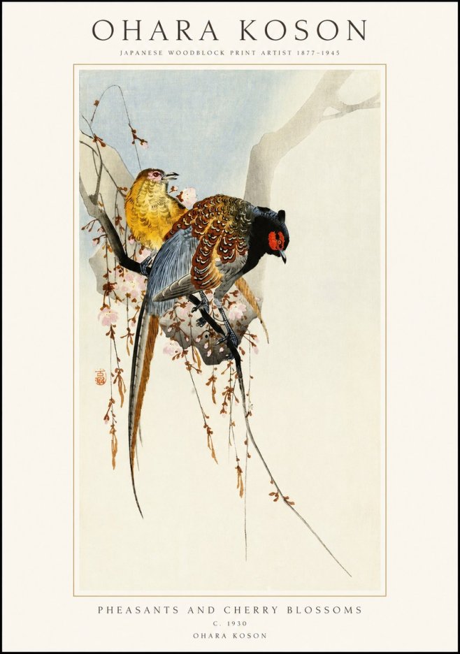 Ohara Koson Pheasants and Cherry Blossoms I No1 - Plakát