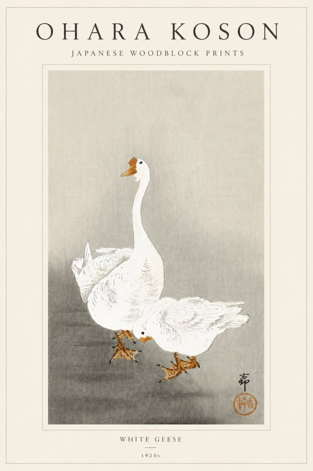 Ohara Koson White Geese No5 - Plakát