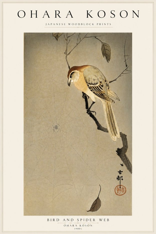 Ohara Koson Bird and Spider Web I No5 - Plakát