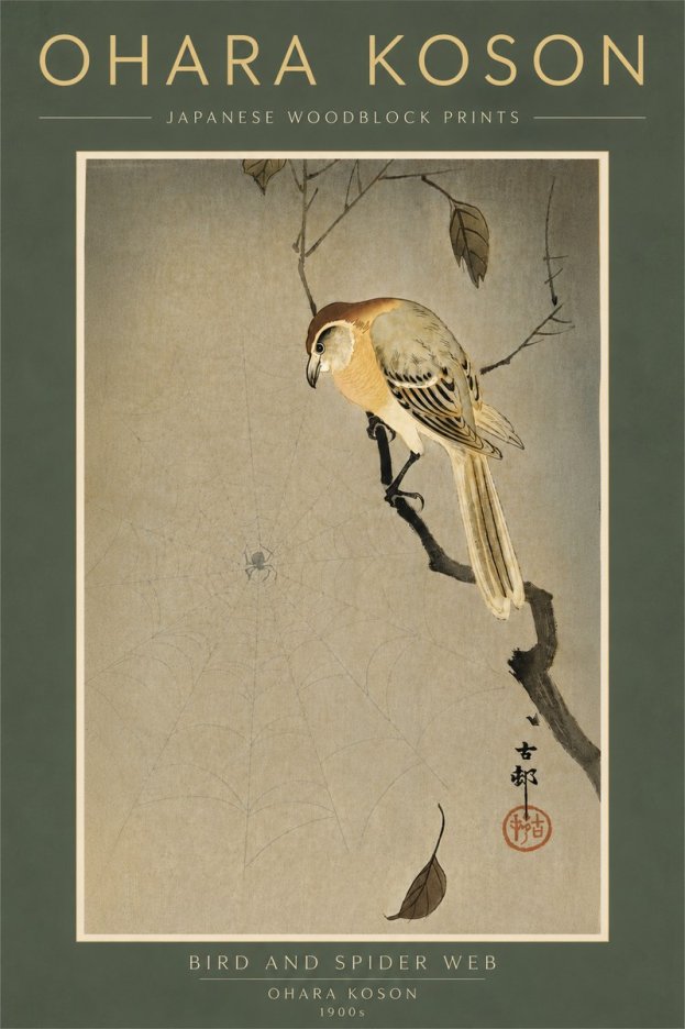 Ohara Koson Bird and Spider Web I No6 - Plakát