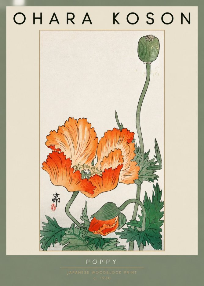 Ohara Koson Poppy No2 - Plakát