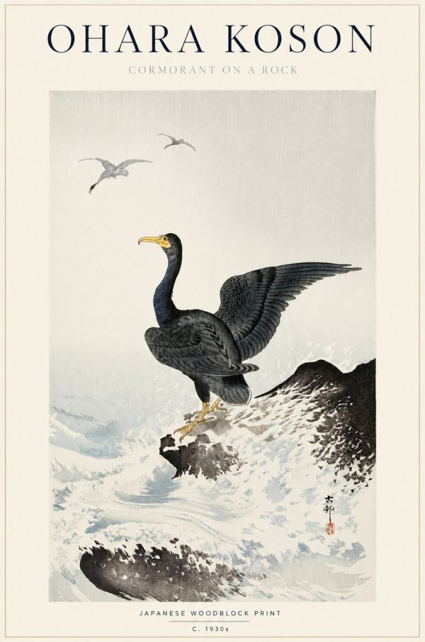 Ohara Koson Cormorant on a Rock No3 - Plakát