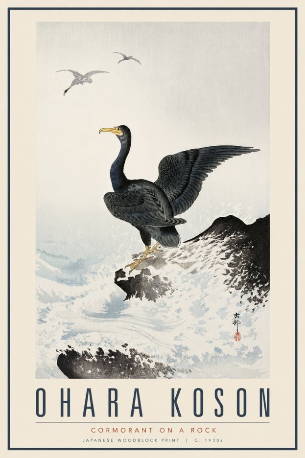 Ohara Koson Cormorant on a Rock No6 - Plakát