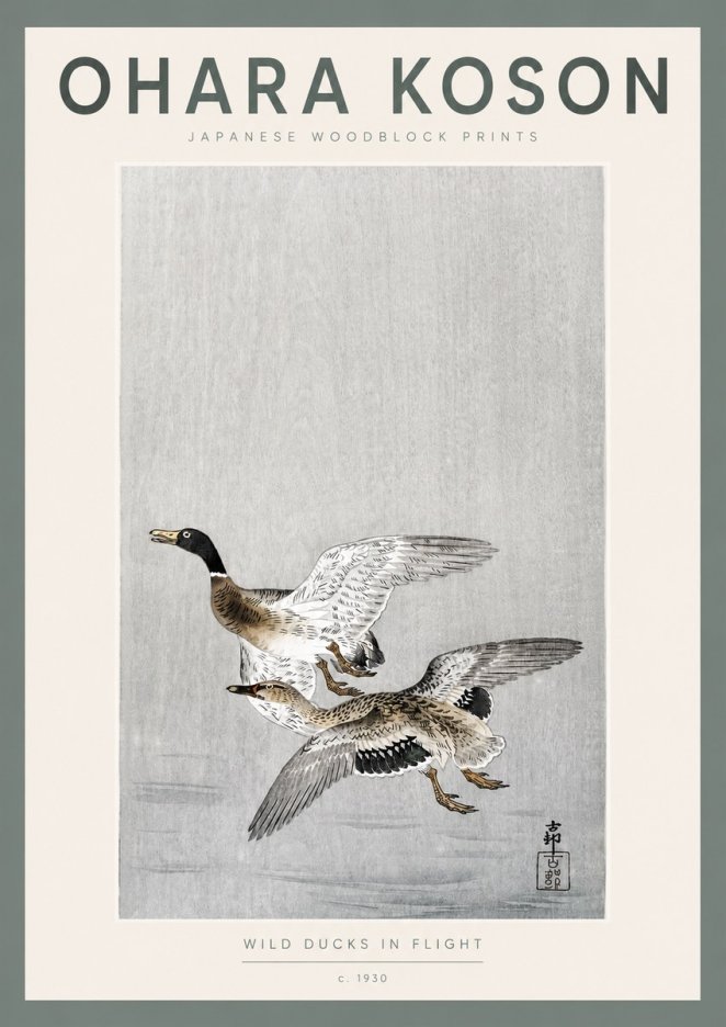 Ohara Koson Wild Ducks in Flight No2 - Plakát