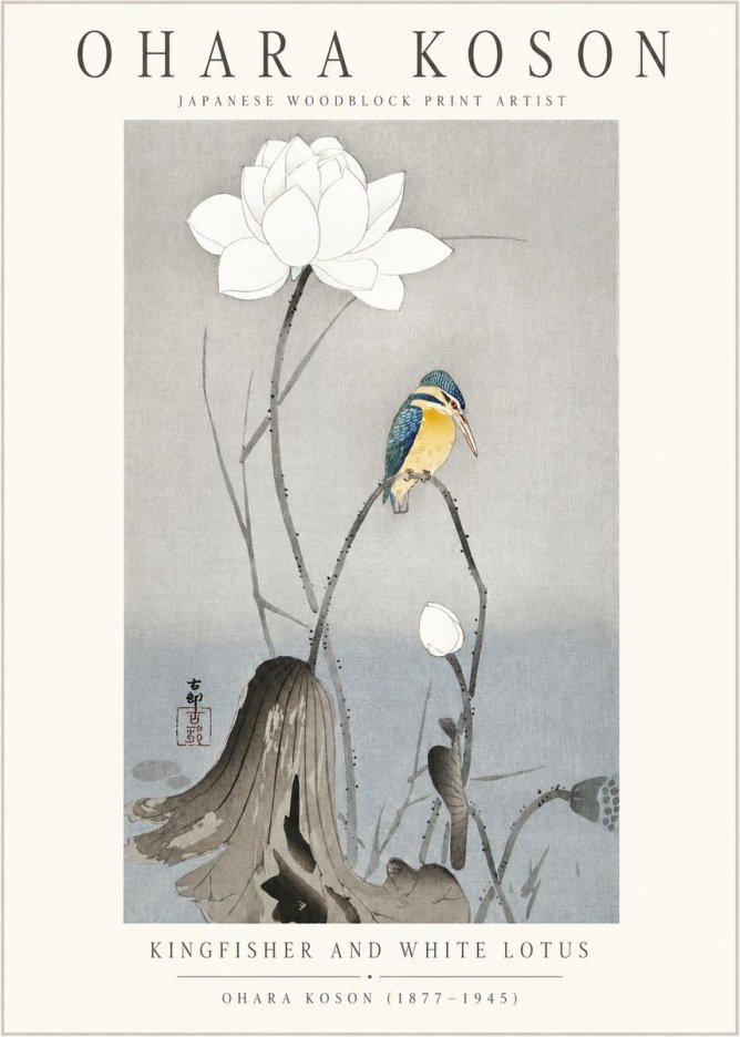Ohara Koson Kingfisher and White Lotus No1 - Plakát