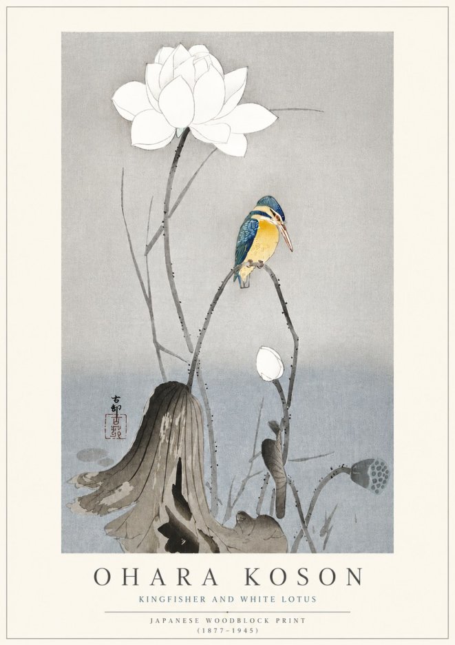 Ohara Koson Kingfisher and White Lotus No3 - Plakát