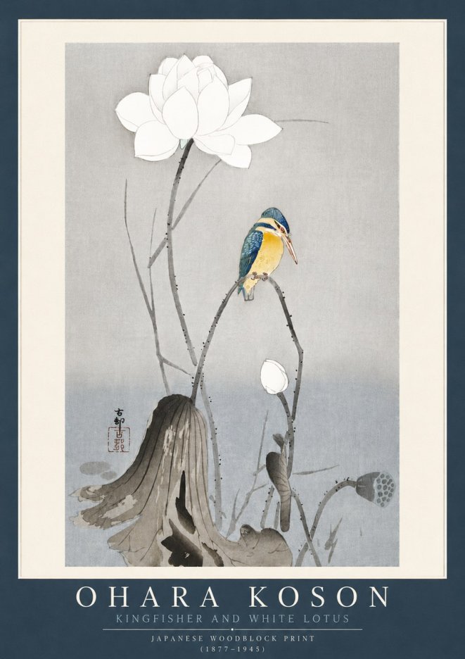 Ohara Koson Kingfisher and White Lotus No4 - Plakát