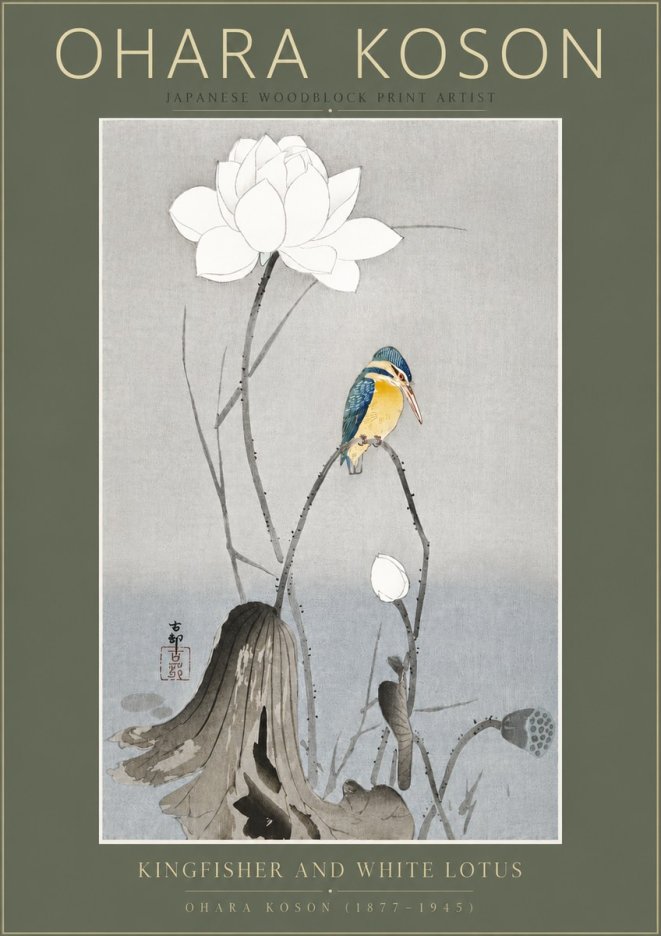 Ohara Koson Kingfisher and White Lotus No5 - Plakát