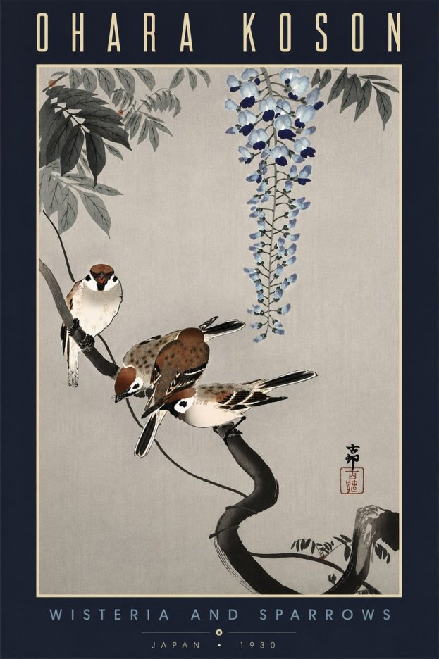 Ohara Koson Wisteria and Sparrows No6 - Plakát