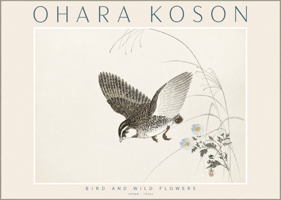 Ohara Koson Bird and Wild Flowers No2 - Plakát