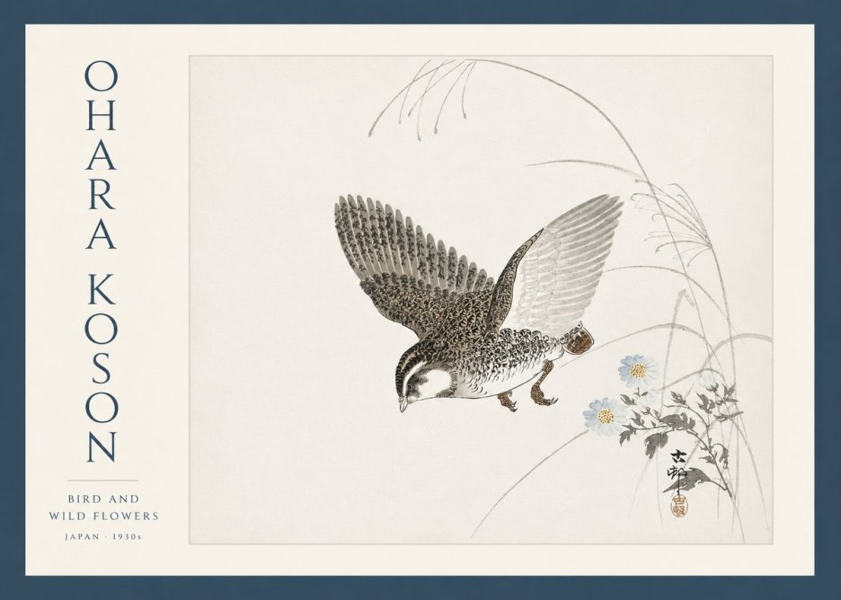 Ohara Koson Bird and Wild Flowers No3 - Plakát