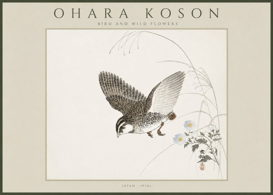Ohara Koson Bird and Wild Flowers No4 - Plakát