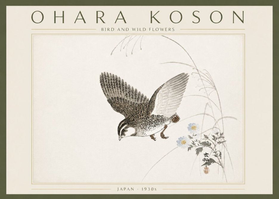 Ohara Koson Bird and Wild Flowers No6 - Plakát