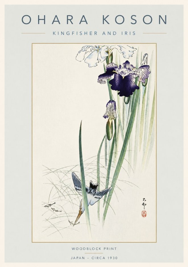 Ohara Koson Kingfisher and Iris No4 - Plakát