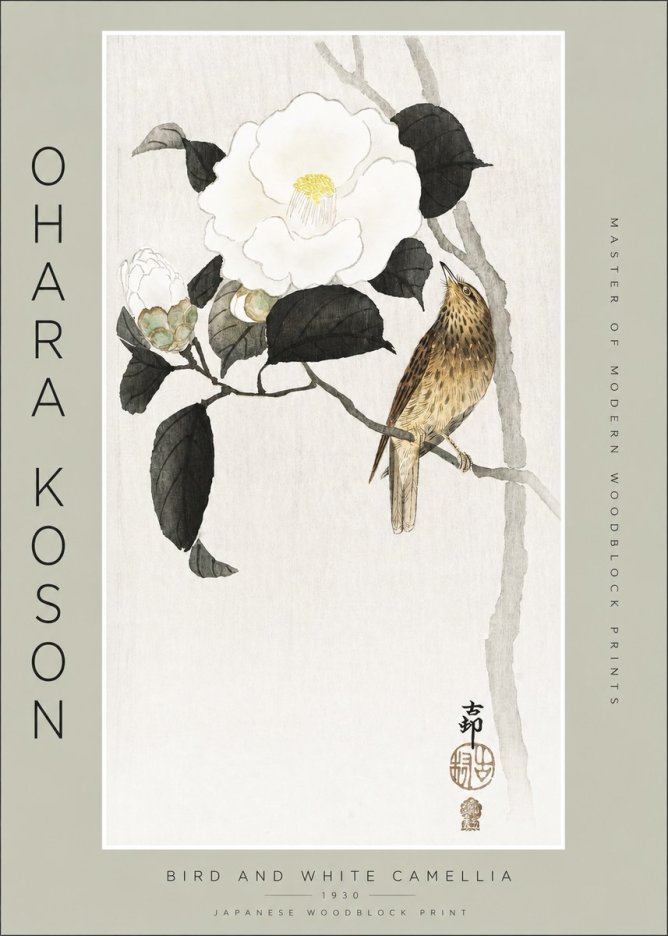 Ohara Koson Bird and White Camellia No2 - Plakát